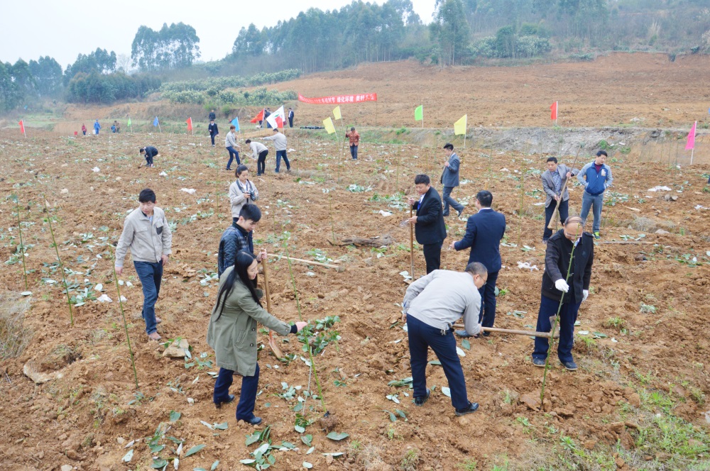 2016年3月时博（中国）开展植树活动